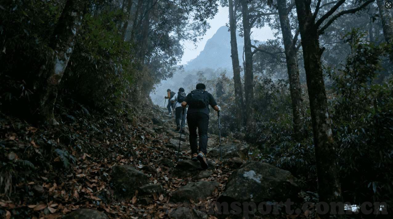 华体会hth体育-探秘华体会(HTH)体育，从平台特色到用户体验的深度剖析