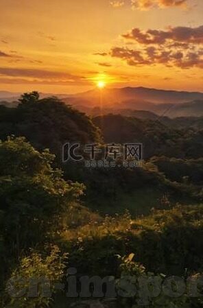 美国与巴拿马足球比分-美国与巴拿马足球比分，绿茵场上的激情碰撞与实力对话